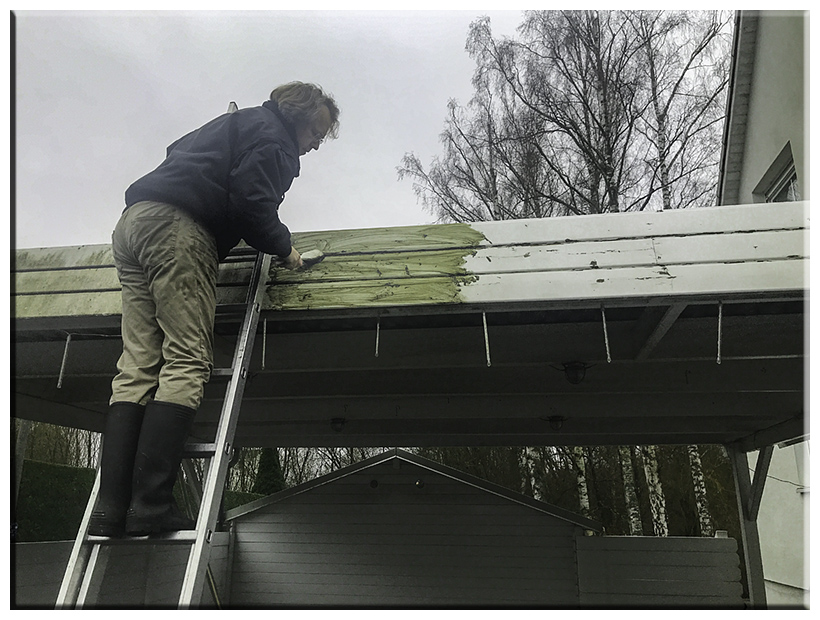 Alger vaskes af carport