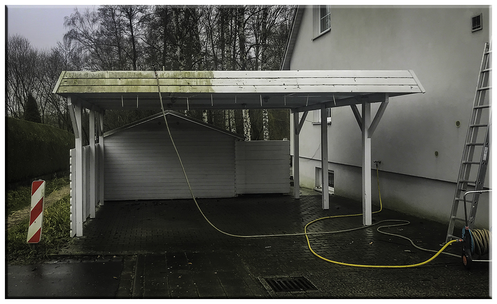 Alger vaskes af carport